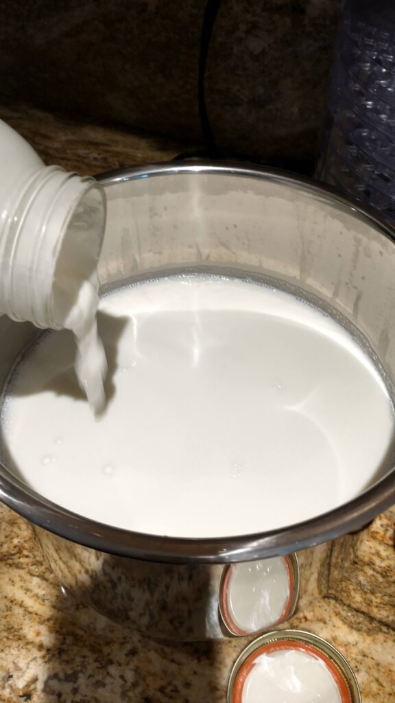 Adding yogurt starter to the milk