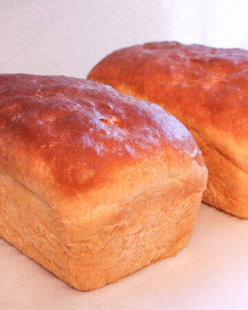 yogurt sandwich bread, all purpose bread dough