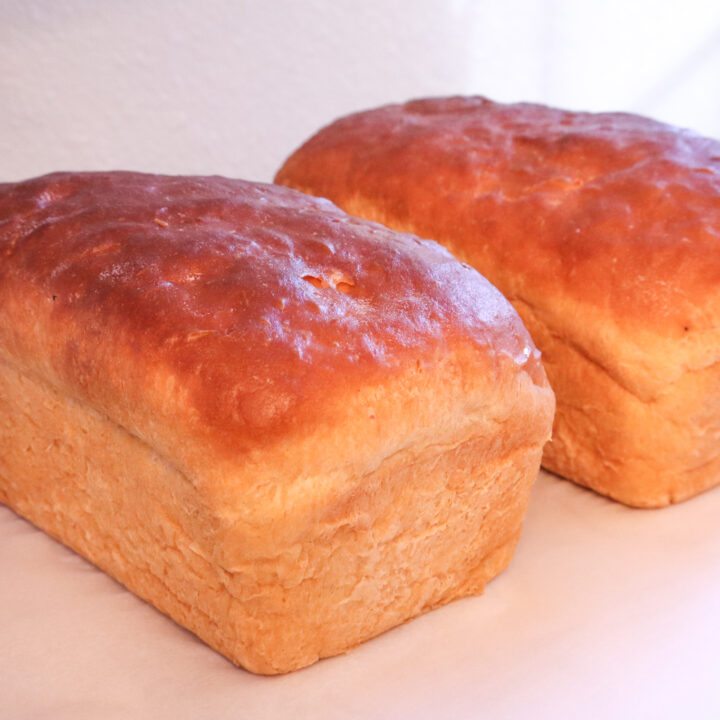 yogurt sandwich bread, all purpose bread dough