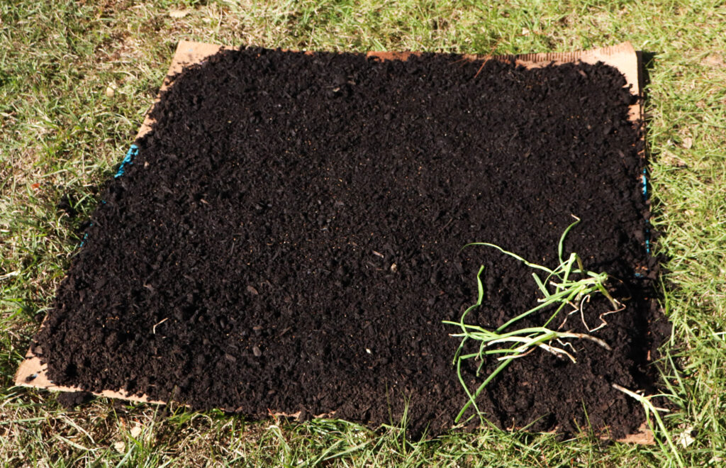 compost on top of cardboard