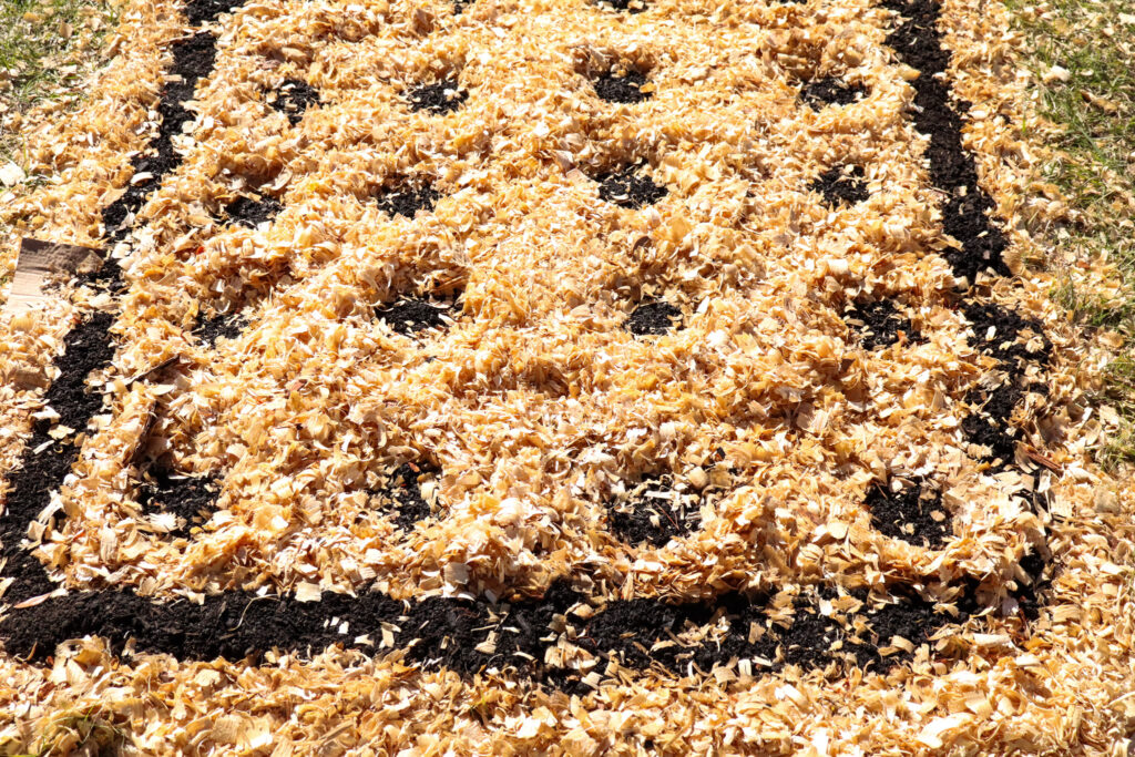 garden bed mulched with pine shavings