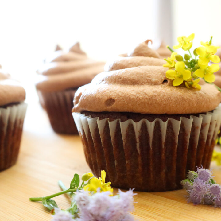 Honey Sweetened Chocolate Cupcakes