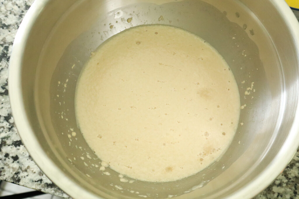 activated yeast in stainless steel bowl