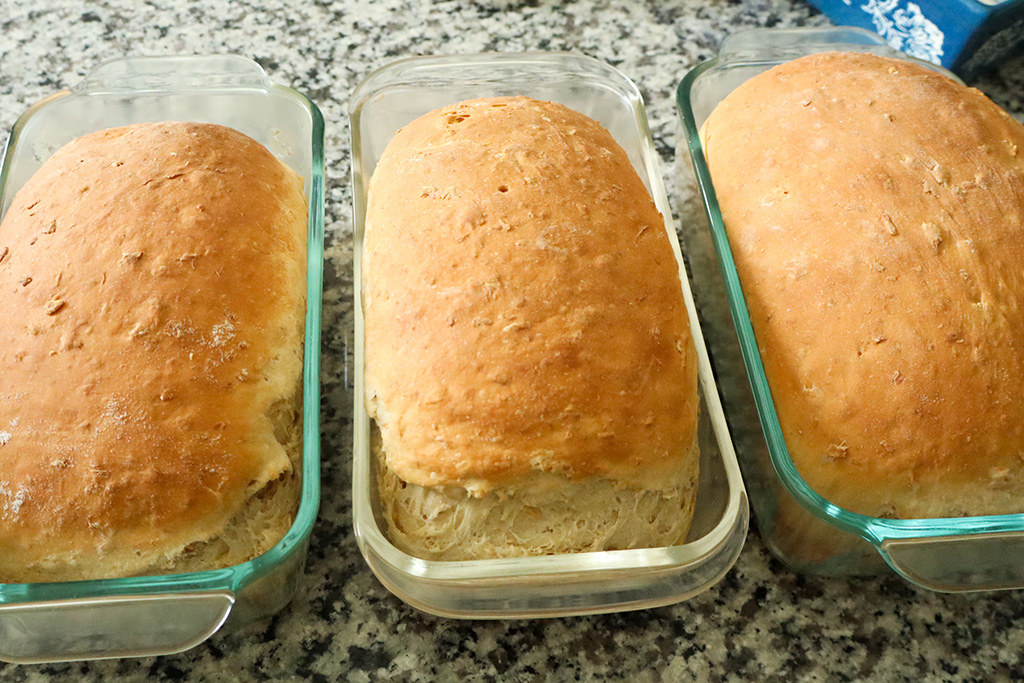 honey oat bread done baking in bread pans