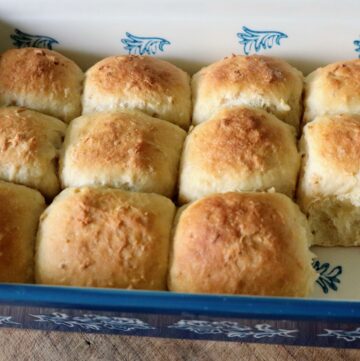honey oat sweet rolls fresh out of the oven